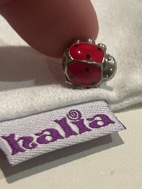 Halia Red Ladybug Charm